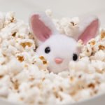 Can rabbit eat popcorn