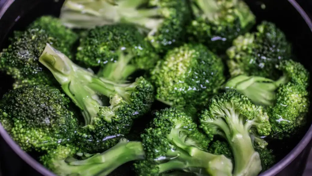 Can Bunnies Eat Broccoli Stalks & Stems