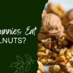 Can Bunnies Eat Walnuts