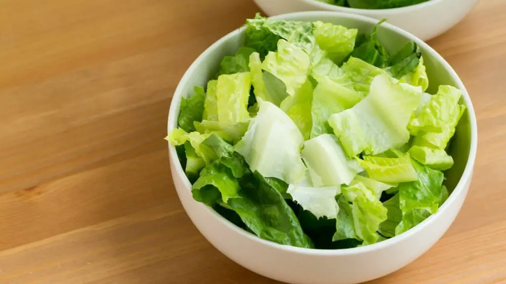 How Much Romaine Lettuce To Feed Your Bunny